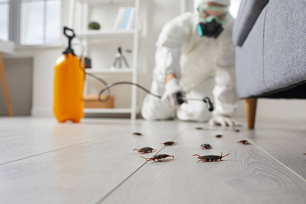 Trusted Termite Control service in Westmoreland, TN - Nex Pest Control