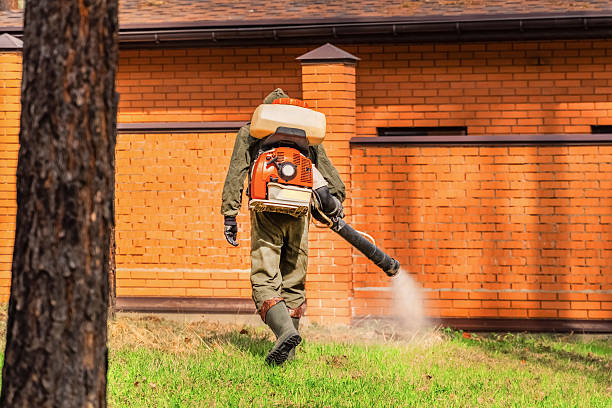 Trusted Mosquito Control service in Westmoreland, TN - Nex Pest Control